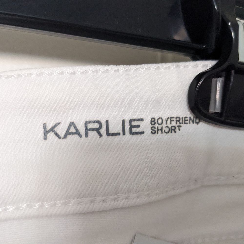 DL1961 Karlie Boyfriend Short Socal Size 28 - Picture 3 of 6
